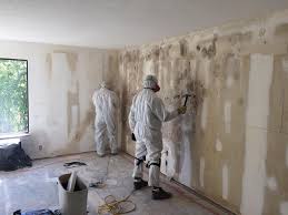 Why You Should Choose Our Mold Remediation Services in Mount Pulaski, IL